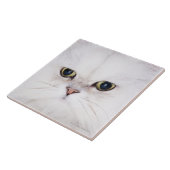 白いペルシャの撃たれるスタジオ タイル (側面)