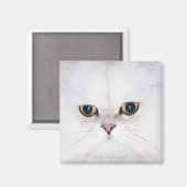 白いペルシャ猫のスタジオショット マグネット (正面/裏面)