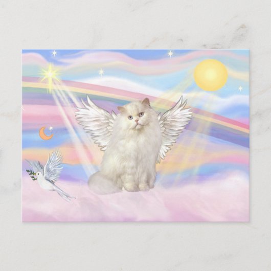 白いペルシャ猫の天使が雲の中に ポストカード (正面)