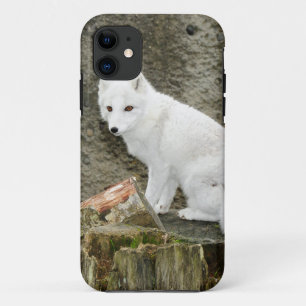 白いホッキョクギツネ iPhone 11 ケース