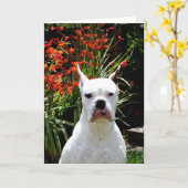白いボクサーのグリーティングカード カード (黄色い花)