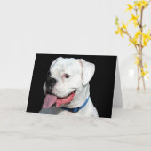 白いボクサーのグリーティングカード カード (黄色い花)