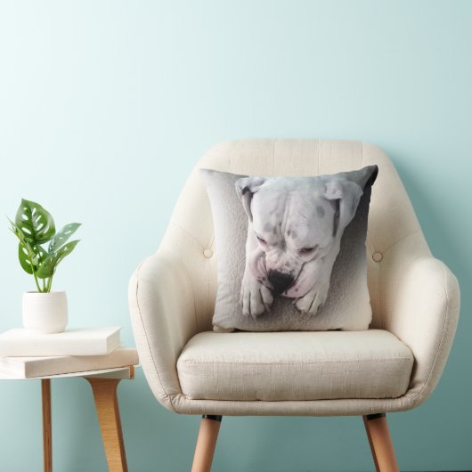 白いボクサーの枕 クッション (椅子)