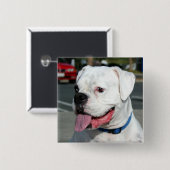 白いボクサーボタン 缶バッジ (正面&裏面)