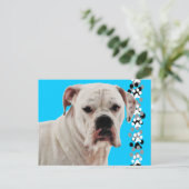 白いボクサー写真 ポストカード (スタンド正面)