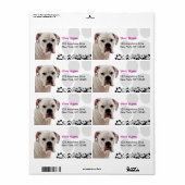 白いボクサー写真 ラベル (フルシート)