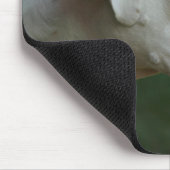 白いボクサー犬の写真のマウスパッド マウスパッド (コーナー)