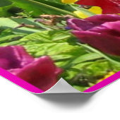 白いボクサー、チューリップの子犬のポスター ポスター (角)