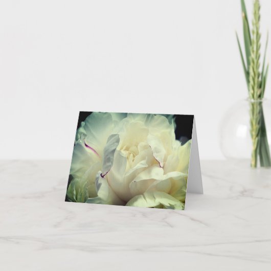 白いボタン 牡丹の花弁 花の写真 ノートカード (正面)