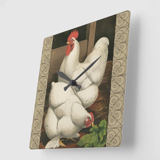 白いボーダーが付いている鶏小屋の外のオンドリ及び雌鶏 スクエア壁時計 (傾斜)