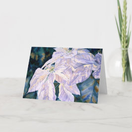 白いポインセチアの挨拶状 シーズンカード