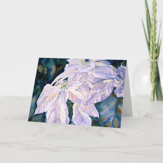 白いポインセチアの挨拶状 シーズンカード (正面)