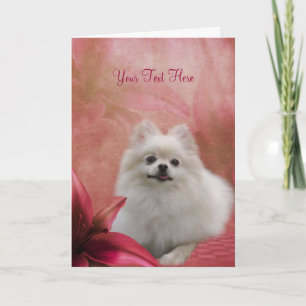 白いポメラニア犬赤いユリ犬の芸術の写真カード カード