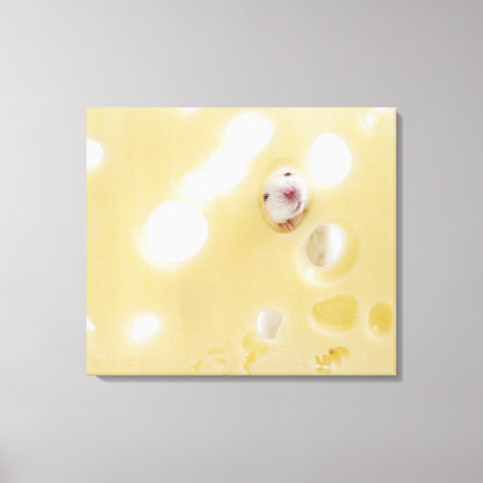 白いマウスのスタジオショット貫通穴を見て キャンバスプリント (正面)