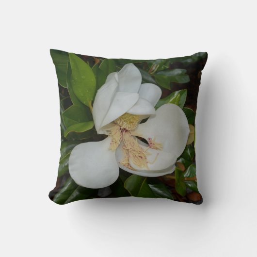 白いマグノリアの花のグリーンとホワイト クッション (正面)