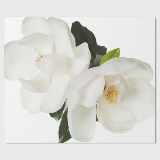 白いマグノリアの花のマグノリアの花柄の花 ラッピングペーパー (フラット)