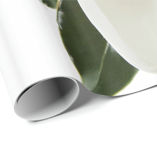 白いマグノリアの花のマグノリアの花柄の花 ラッピングペーパー (ロールコーナー)