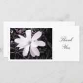 白いマグノリア-ありがとう サンキューカード (正面/裏面)