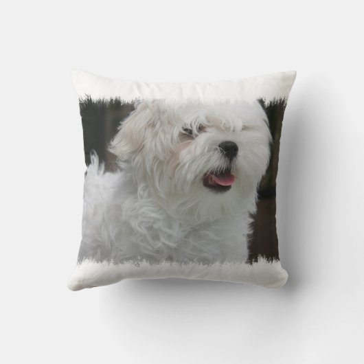 白いマルタの子犬の枕 クッション (裏面)