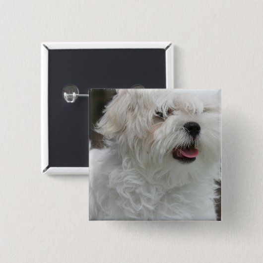 白いマルタの子犬の正方形Pin 缶バッジ (正面&裏面)