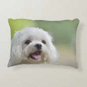 白いマルタ犬 アクセントクッション (裏面)
