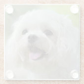 白いマルタ犬 ガラスコースター (裏面)