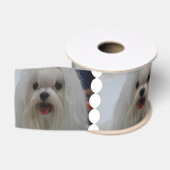 白いマルタ犬 グログランリボン (リール)