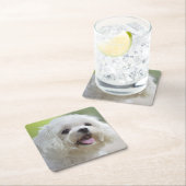 白いマルタ犬 スクエアペーパーコースター (インサイチュ)