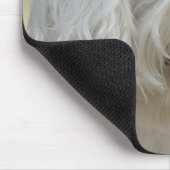 白いマルタ犬 マウスパッド (コーナー)