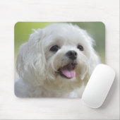 白いマルタ犬 マウスパッド (マウス)