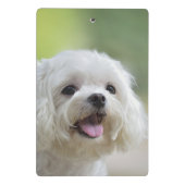 白いマルタ犬 ミニクリップボード (裏面)