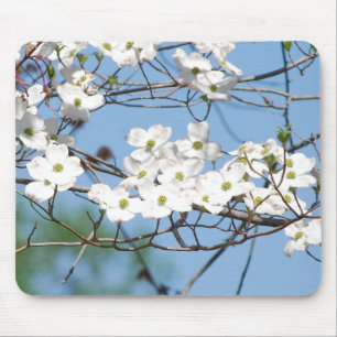 白いミズキによってはmousepadが開花します マウスパッド