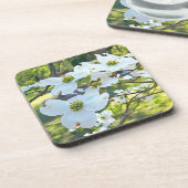 白いミズキ木の花の飲み物のコルクのコースター コースター (左側)