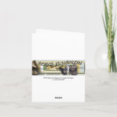 白いミズキ(未加工) カード (裏面)