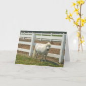 白いミニチュアの馬のグリーティングカード カード (黄色い花)