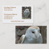 白いメンフクロウの名刺 名刺 (正面/裏面)