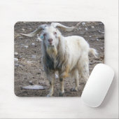 白いヤギの地位 マウスパッド (マウス)