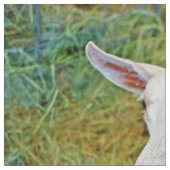 白いヤギ ファブリック (クローズアップ)