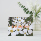 白いヤマボウシの花 あなたの言葉 ポストカード (スタンド正面)