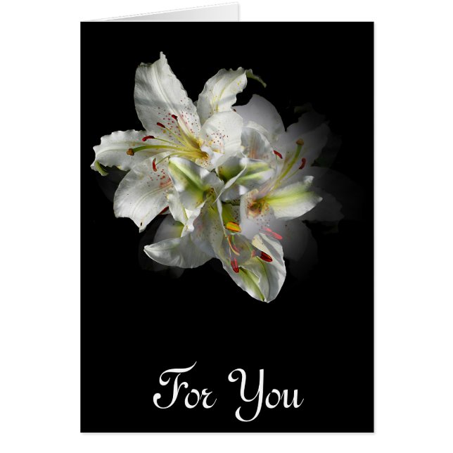 白いユリのファンタジー (正面)