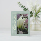 白いユリの愛 ポストカード (スタンド正面)