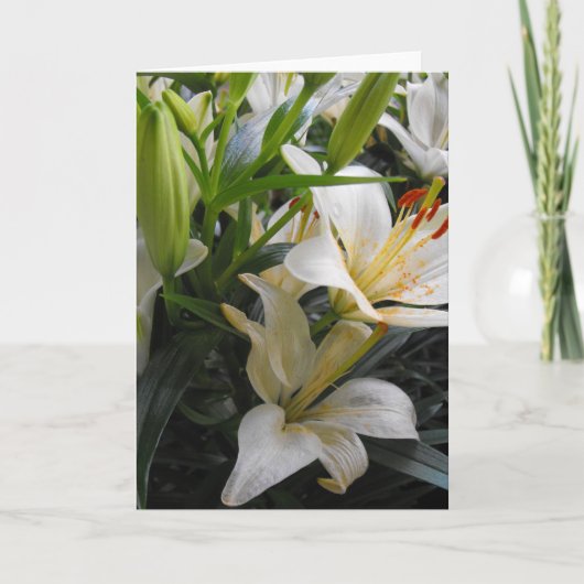 白いユリの花のグリーティ空白のングカード サンキューカード (正面)