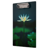 白いユリの花 クリップボード (左)