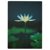 白いユリの花 クリップボード (裏面)