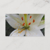 白いユリの花 名刺 (裏面)