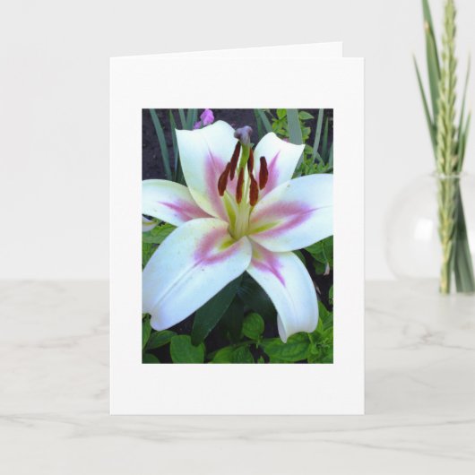 白いユリ王室のグリーティングカード自分の文字を追加 カード (正面)