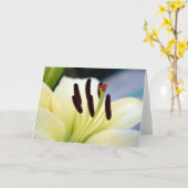 白いユリ1のカード カード (黄色い花)