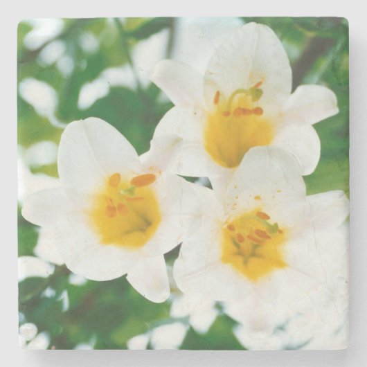 白いユリ - 愛の象徴 ストーンコースター (正面)