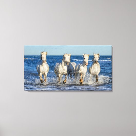 白いラクダ色の馬が波を駆け抜ける キャンバスプリント (正面)