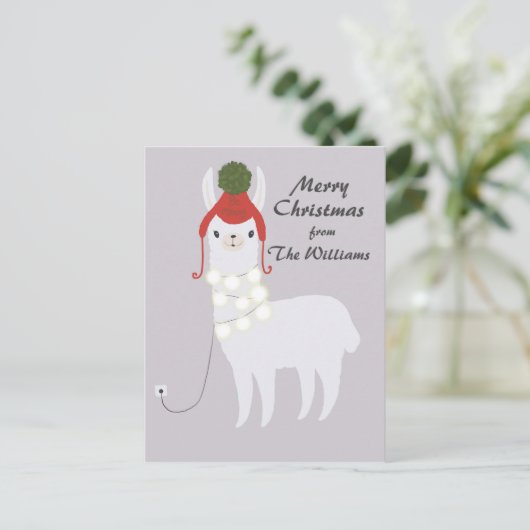 白いラマによって差し込まれるクリスマス シーズンポストカード (スタンド正面)